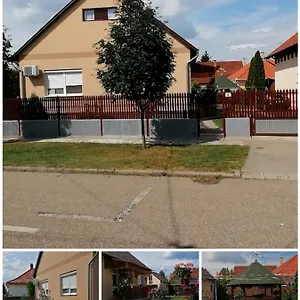 Vida Vendeghaz Węgry